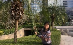 国产一区二区三区内射高清